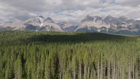 drone panorámica derecha revelando altas montañas nevadas y un vasto bosque de pinos desierto cerca de banff y yoho parque nacional en canadá bajo un cielo parcialmente nublado