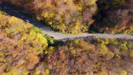 화려한 가을 숲길을 달리는 흰색 자동차