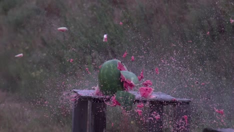 Wassermelonenexplosion,-Superlangsamer-Morion