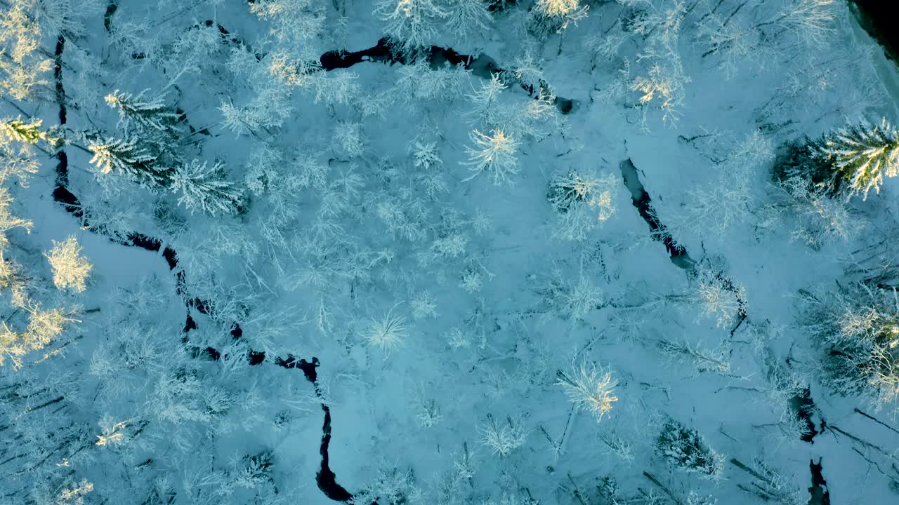 ombre drammatiche degli alberi coprono il paesaggio innevato della foresta con fiumi e ruscelli tortuosi al tramonto