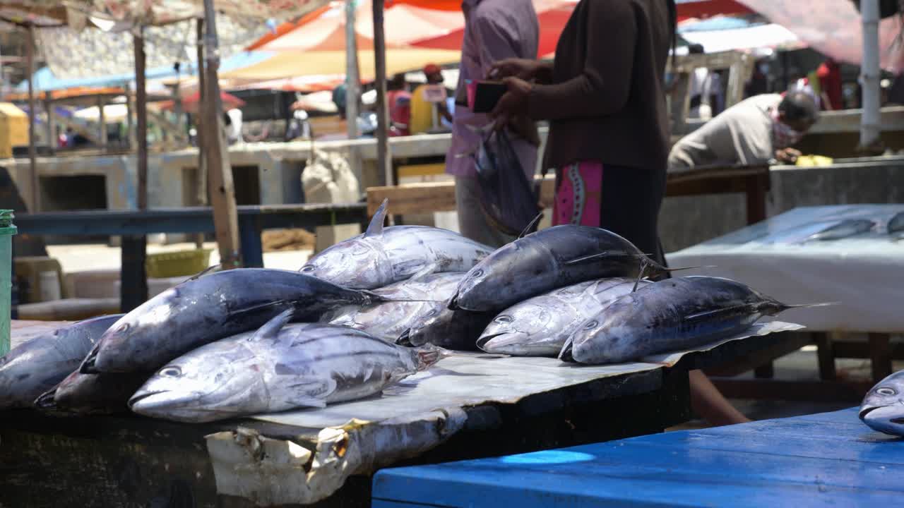 muchos peces enormes amontonados y listos para la venta en el mercado local de pescado al aire libre en negombo, sri lanka