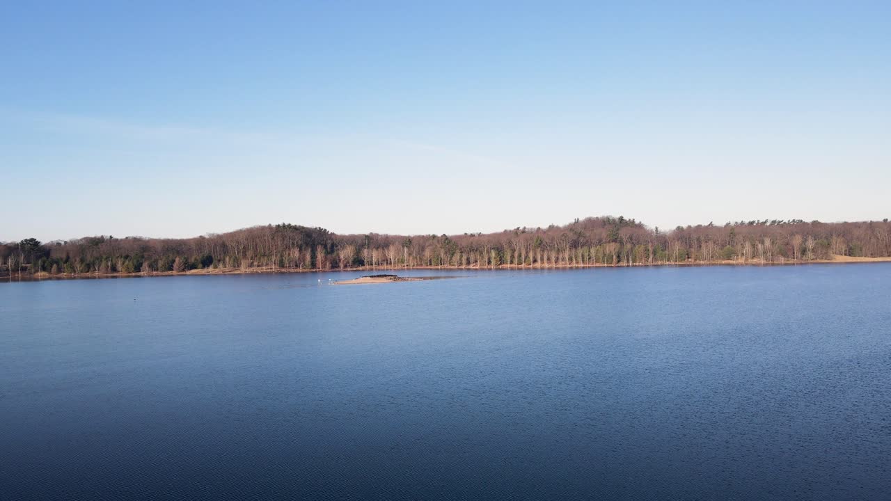 Ptaki zrywające się do lotu z małej wyspy na jeziorze.