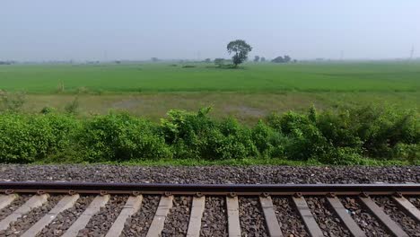 beautiful view from inside the train
