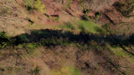 top-down aerial view of a turquoise blue stream in the middle of a forest