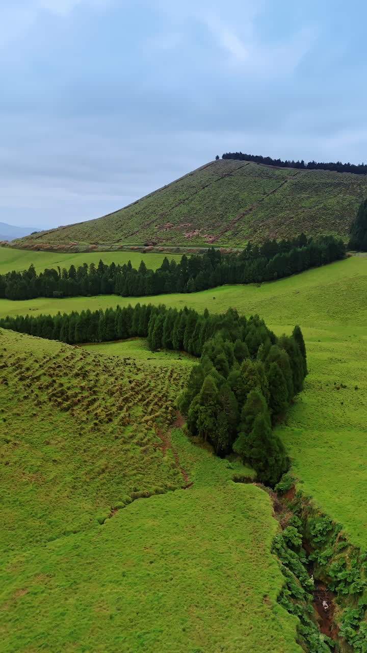 Female tourist walks by the old aqueduct build along the highway. Green hills with some pine trees plantings from aerial perspective. Vertical video.