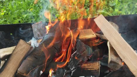 burning wood logs for a barbecue