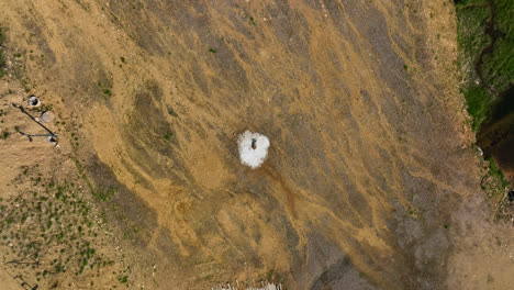 Aerial-view-rotating-above-a-reindeer-lying-on-a-spot-of-snow,-summer-in-Lapland