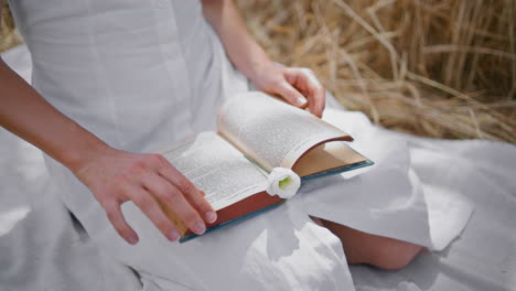 lady fingertips touching book pages rye field close up. woman reading literature