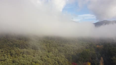 산기슭에 아침 안개