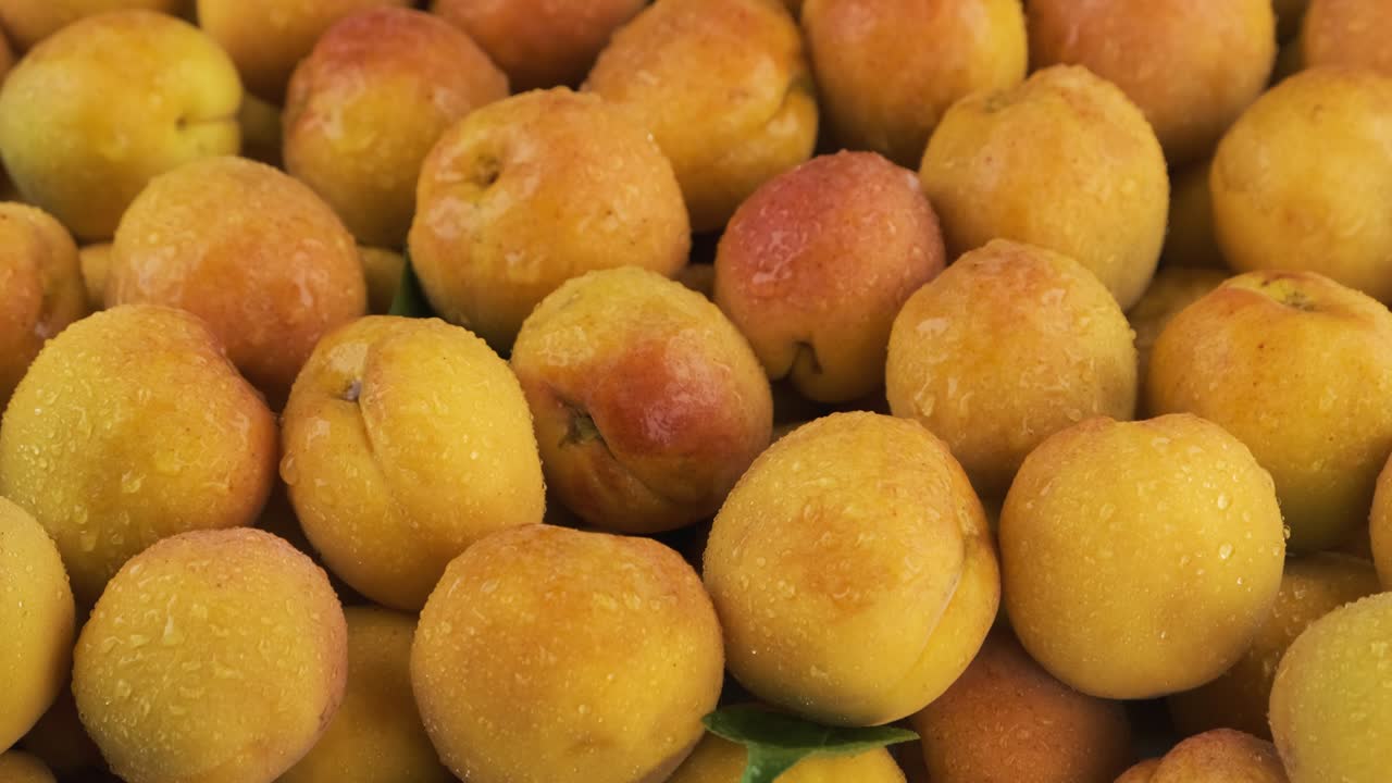panorama vertical. las gotas de lluvia caen sobre los albaricoques maduros y jugosos. fondo de frutas.