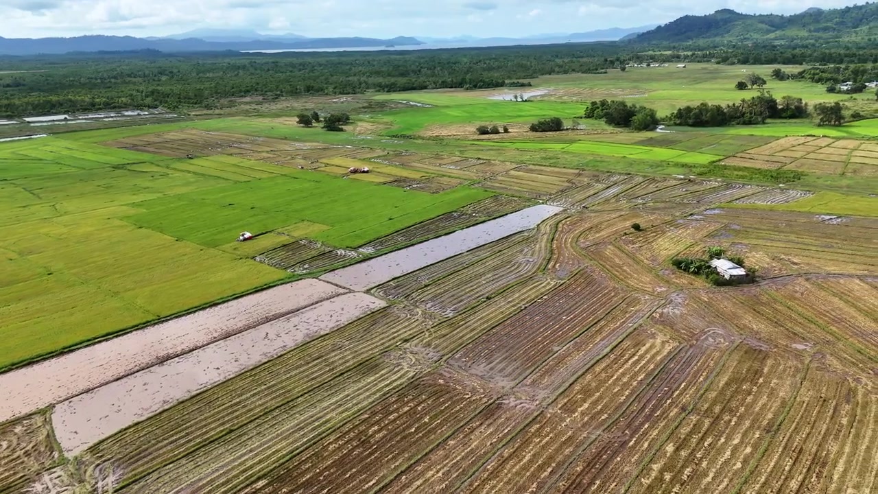 Pemandangan drone udara sawah yang sudah dipanen dan dibajak dengan saluran irigasi yang tergenang air serta sebuah rumah pertanian kecil di samping hutan hijau dan latar belakang pegunungan, Bato, Taytay, Palawan, Filipina