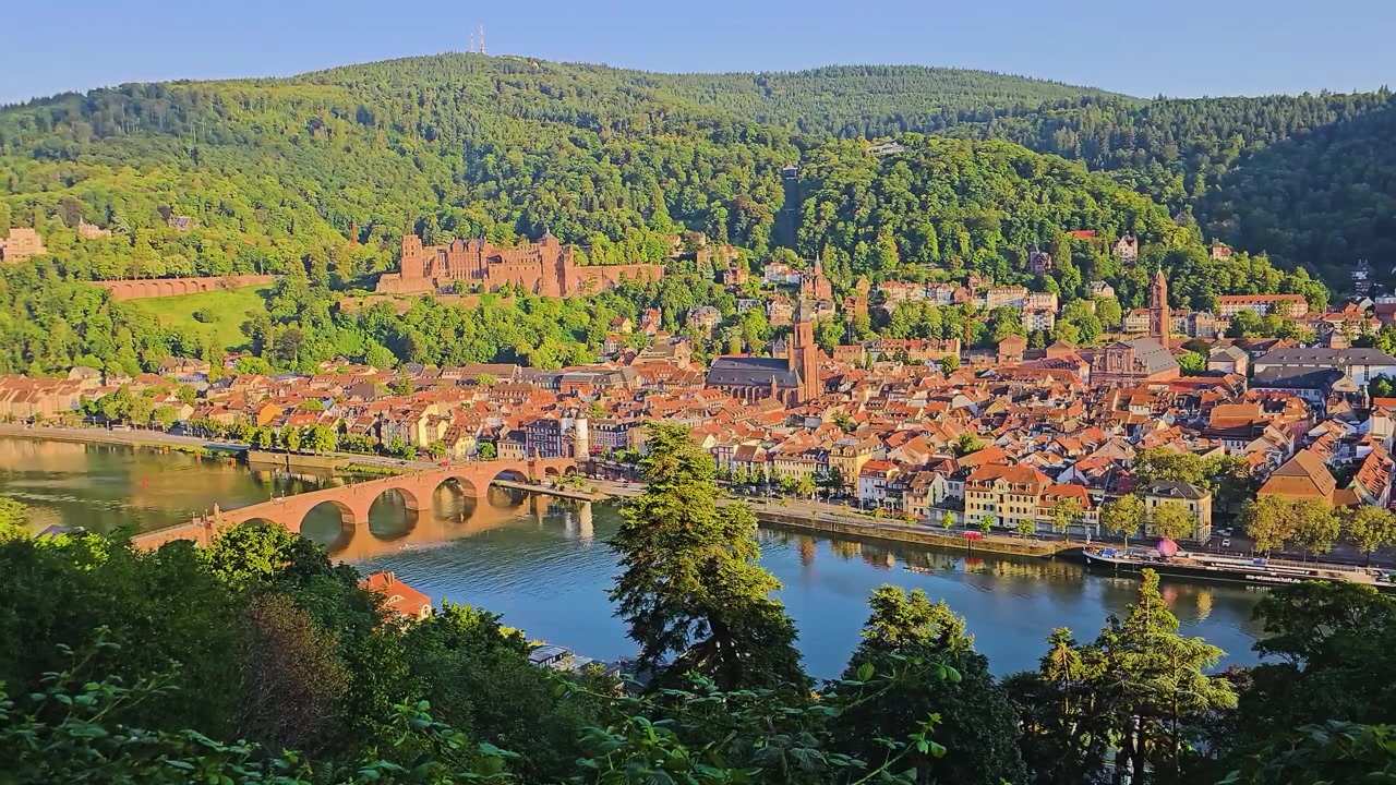 Panoramica scenografica di Heidelberg, Germania, con il Castello di Heidelberg, il Ponte Vecchio, il centro storico, i campanili delle chiese, il fiume Neckar e le rigogliose colline verdi sotto un cielo estivo limpido e soleggiato.