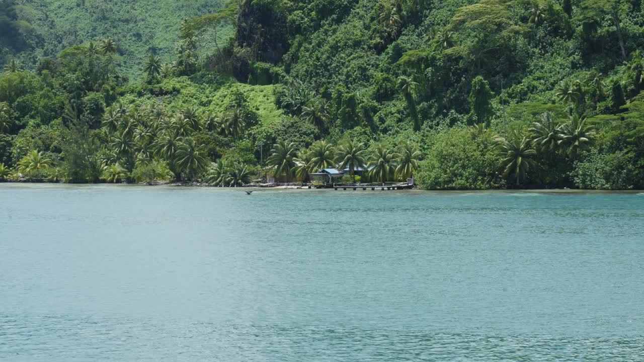 View of palm trees and coast from a moving boat on a sunny day in French Polynesia.