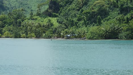 view of palm trees and coast from a moving boat on a sunny day in french polynesia.