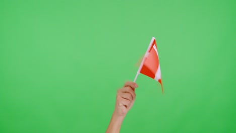 Hand waving a pennant of a danish national flag