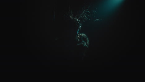 a creepy witch stands in the moody pose during the night storm
