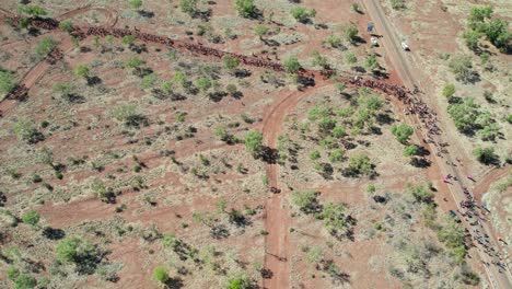 Vista-Aérea-De-La-Gente-En-La-Marcha-Del-Festival-Del-Día-De-La-Libertad-En-La-Remota-Comunidad-De-Kalkaringi,-Territorio-Del-Norte,-Australia