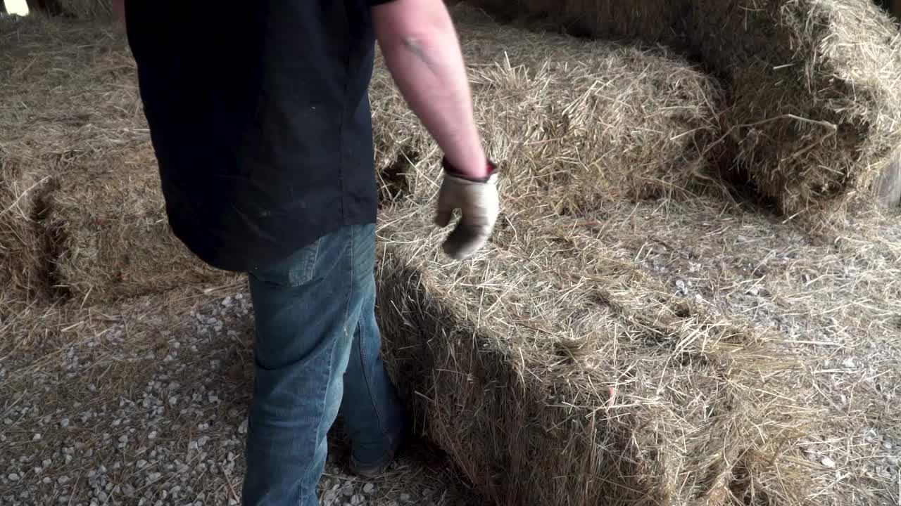 male wearing work gloves throwing hay bails in a barn.