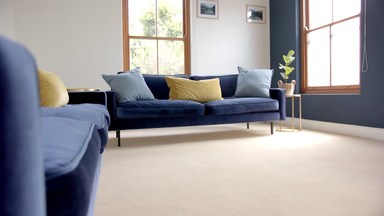 이 나는 거실에서 두 개의 파란 소파에 베개, 복사 공간, 느린 동작