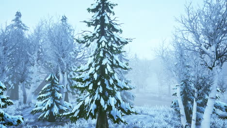 Wintersturm-In-Einem-Wald-Im-Winter