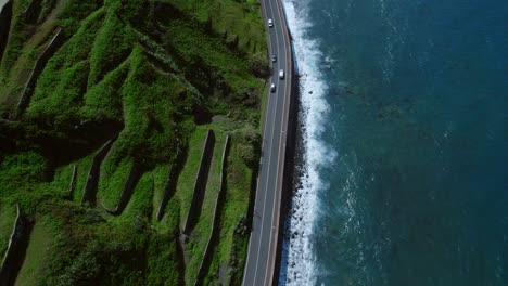 coastal road with terraced fields