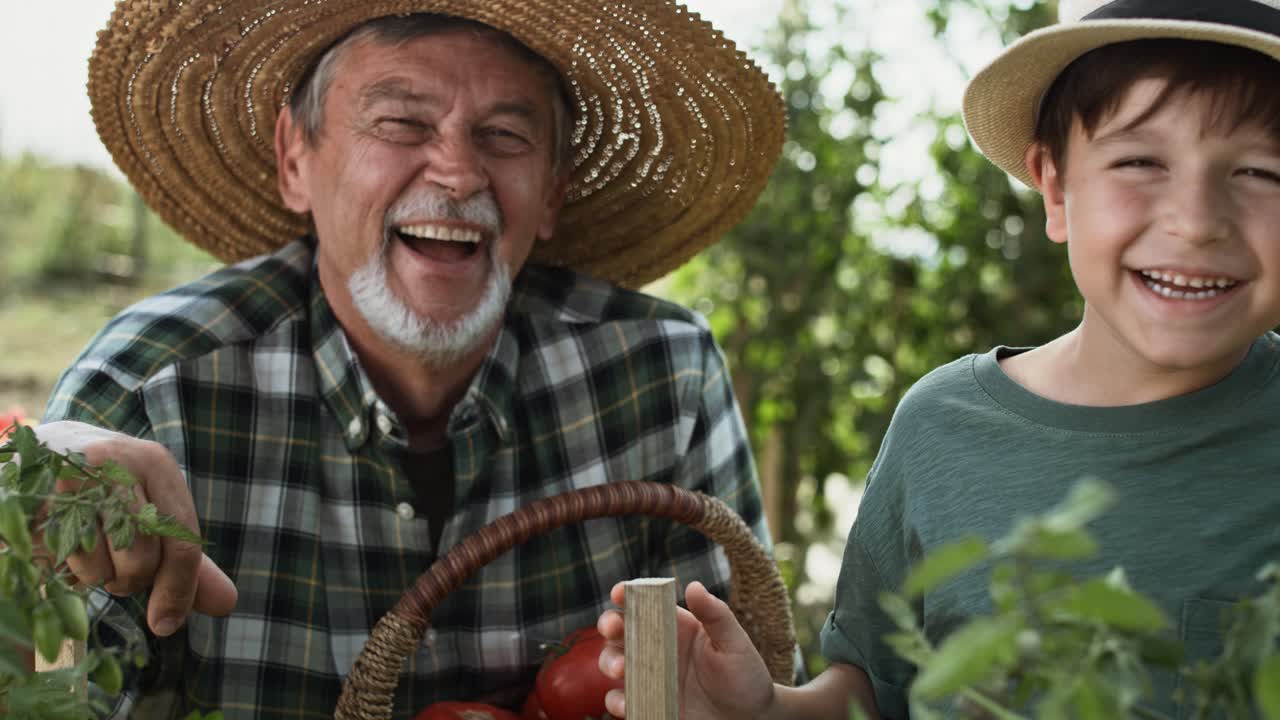 Portrait video of grandfather with grandson in the vegetable garden