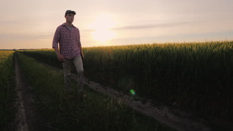 a successful farmer walks along his wheat field at sunset people in agribusiness concept steadicam s