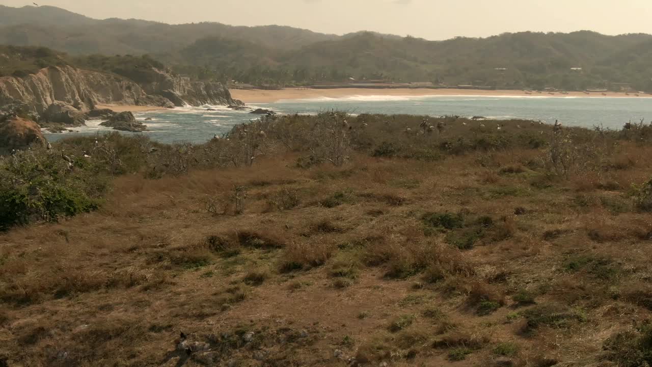 paisaje tranquilo en la isla faro de bucerias en michoacán, méxico - panorámica