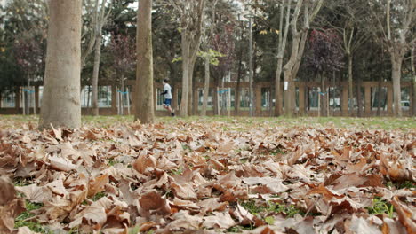 determined sportsman running alone on yellow fallen leaves with covid mask in city park on spring time in slowmo