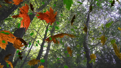 animation of green and orange leaves blowing over trees in forest