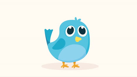 little and cute blue bird animation