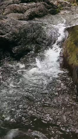 small waterfall in a forest