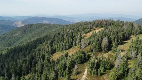 beautiful mountain landscape during a summer day with mountains peaks, forest, lush greenery and trees