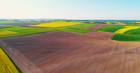 Felder-Mit-Verschiedenen-Arten-Der-Landwirtschaft-4k-7