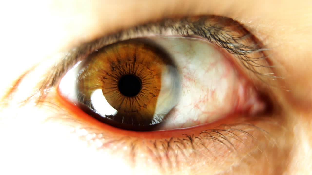 큰 눈 매크로 03