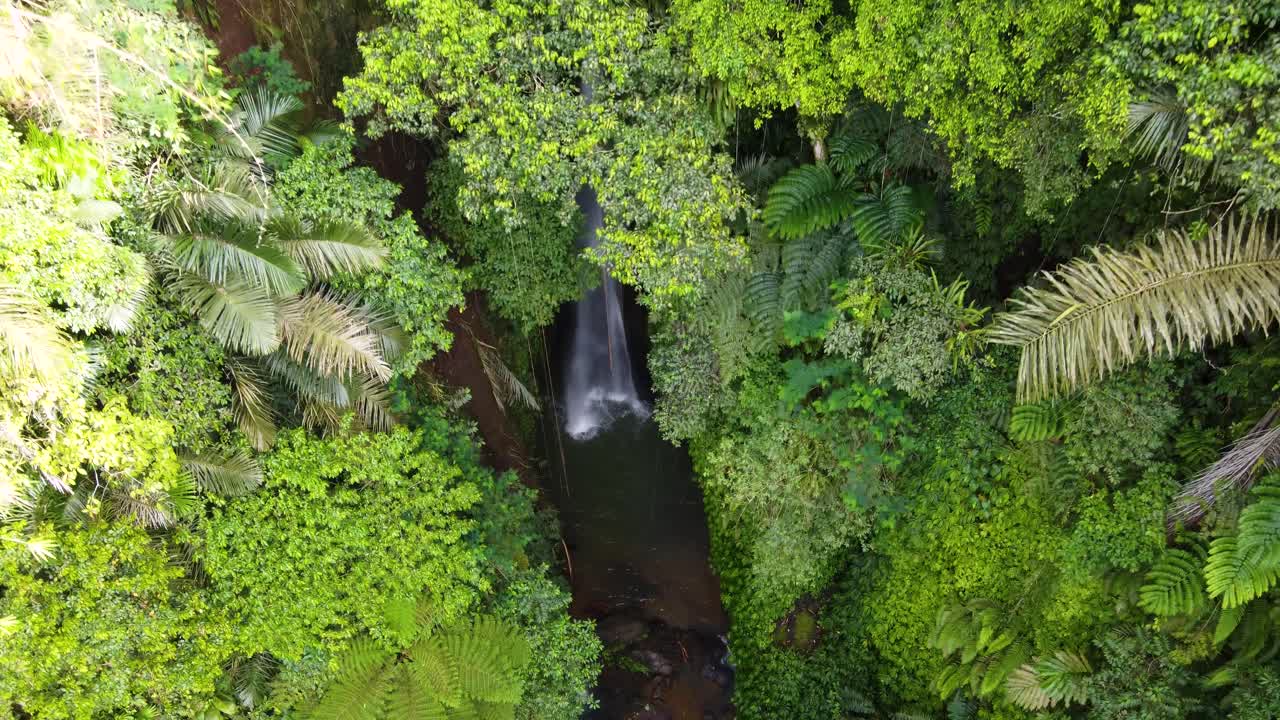 la cascada de leke leke en bali, indonesia, escondida en un paisaje de selva tropical y una exuberante vegetación forestal verde