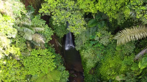 Leke-Leke-Wasserfall-Auf-Bali,-Indonesien,-Versteckt-In-Tropischer-Dschungellandschaft-Und-üppiger-Grüner-Waldvegetation