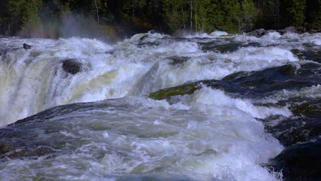 video en cámara lenta la cascada de ristafallet en la parte occidental de jamtland está catalogada como una de las cascadas más hermosas de suecia.