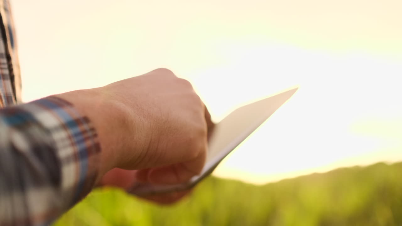 Lens flare: farmer with a tablet to monitor the harvest a corn field at sunset. Man farmer with a tablet monitors the crop corn field at sunset slow motion video