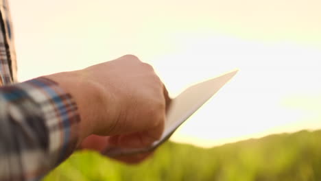 lente flare: granjero con una tableta para monitorear la cosecha un campo de maíz al atardecer. granjero hombre con una tablet monitorea el campo de cultivo de maíz en el atardecer video en cámara lenta