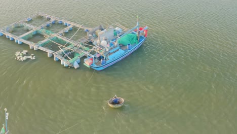 Drone-view-of-fisherman-sailing-on-a-basket-boat-to-the-fish-farm,-Nha-Trang-city,-Khanh-Hoa-province,-central-Vietnam