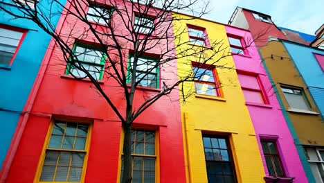 un edificio colorido con un árbol delante de él