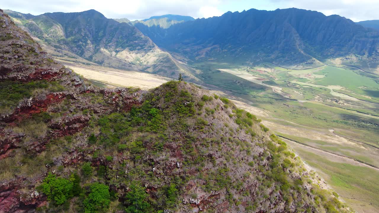 hermosa toma escénica y cinematográfica de drones de las montañas y la costa en el fondo en el parque de la playa de kailua en oahu, honolulu, hawaii, ee.uu.