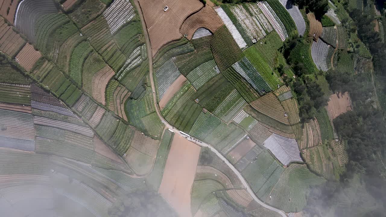 drone derribado, campos de jardín en las laderas del monte sumbing, magelang indonesia