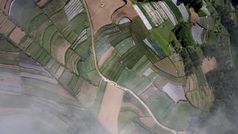 Drone-shot-down,-garden-fields-on-the-slopes-of-Mount-Sumbing,-Magelang-Indonesia