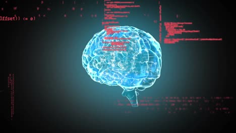 Digitales-Gehirn-Und-Programmcodes