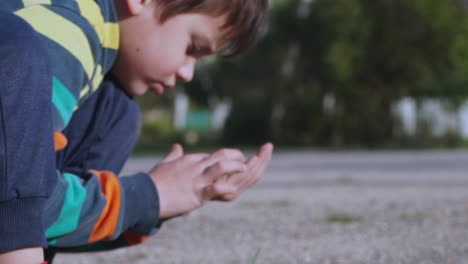 Primer-Plano,-Enfoque-Selectivo,-Vista-Lateral-Del-Niño-Caucásico,-Jugando-Con-Tierra-En-Sus-Manos