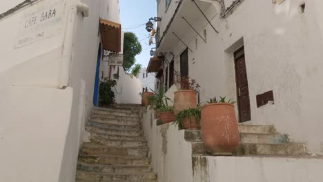 view looking up stairs with large ceramic planters outside entrances in tangier, morocco