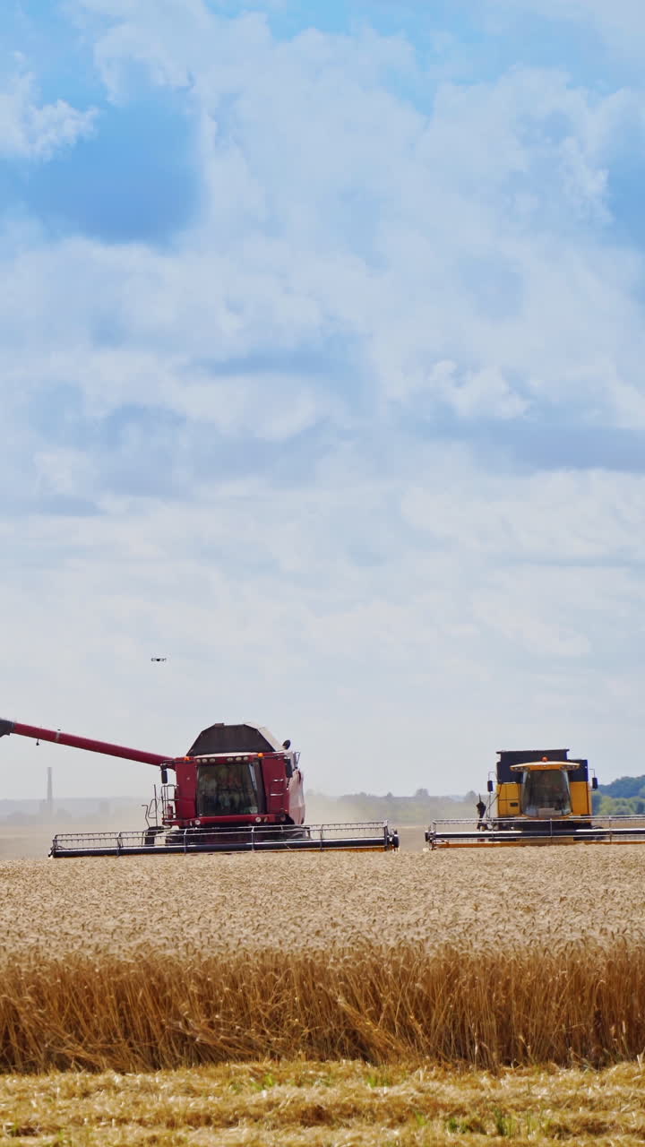 Combine harvesting the wheat. Combine harvester agricultural machine ride in the field of golden ripe wheat. Vertical video