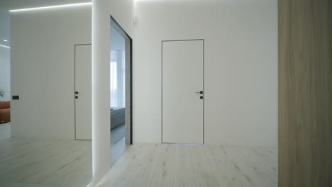 modern and minimalist apartment hallway